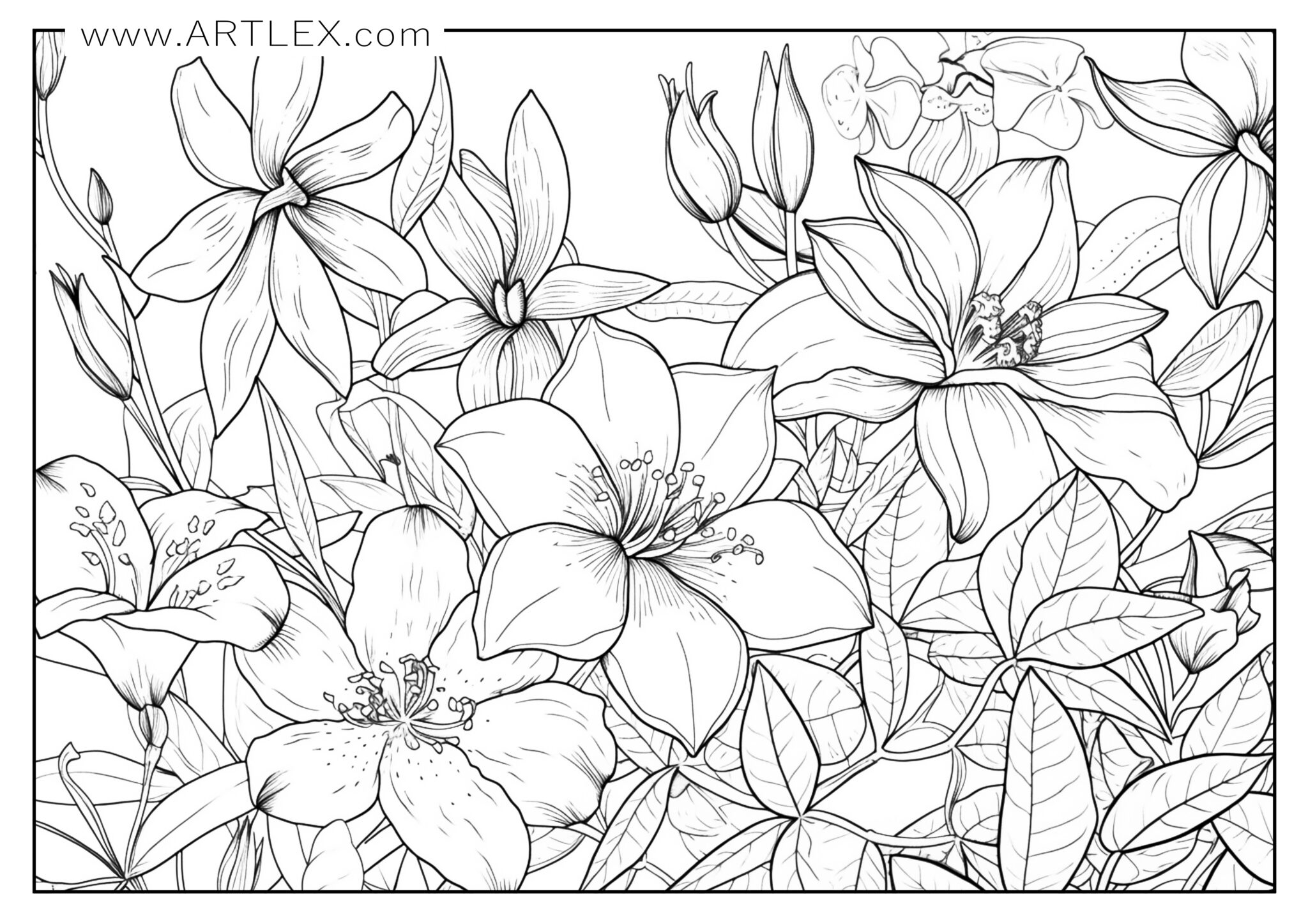 13 Best Flower Coloring Pages Free Printable Artlex