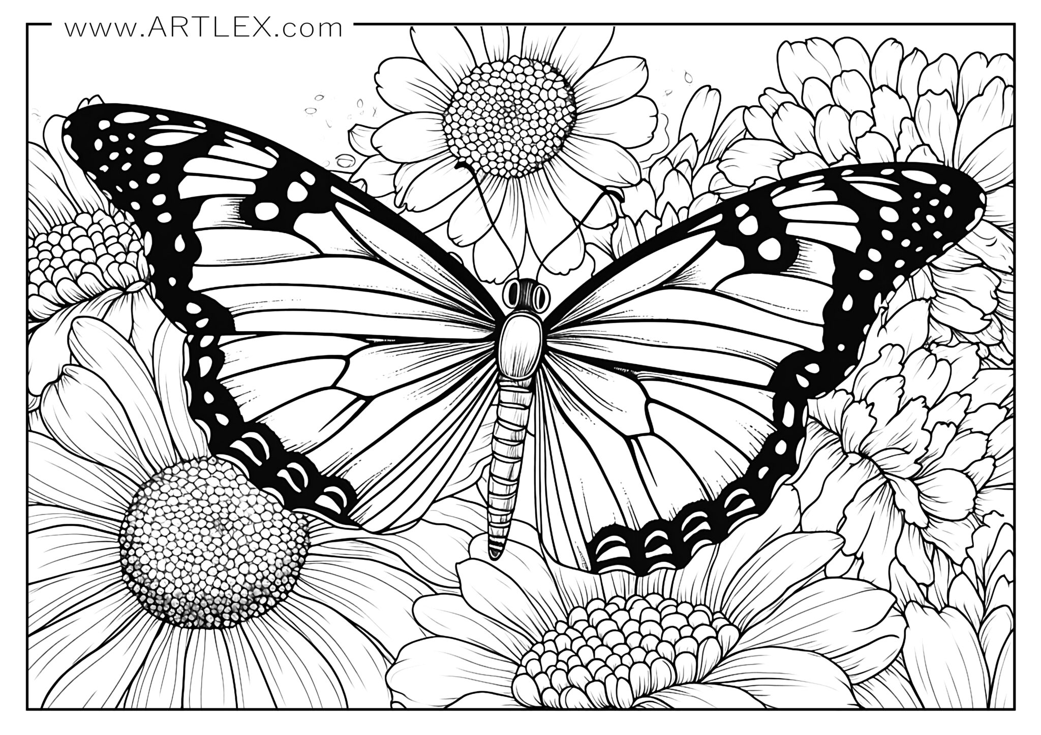 16 Best Butterfly Coloring Pages Free Printable Artlex