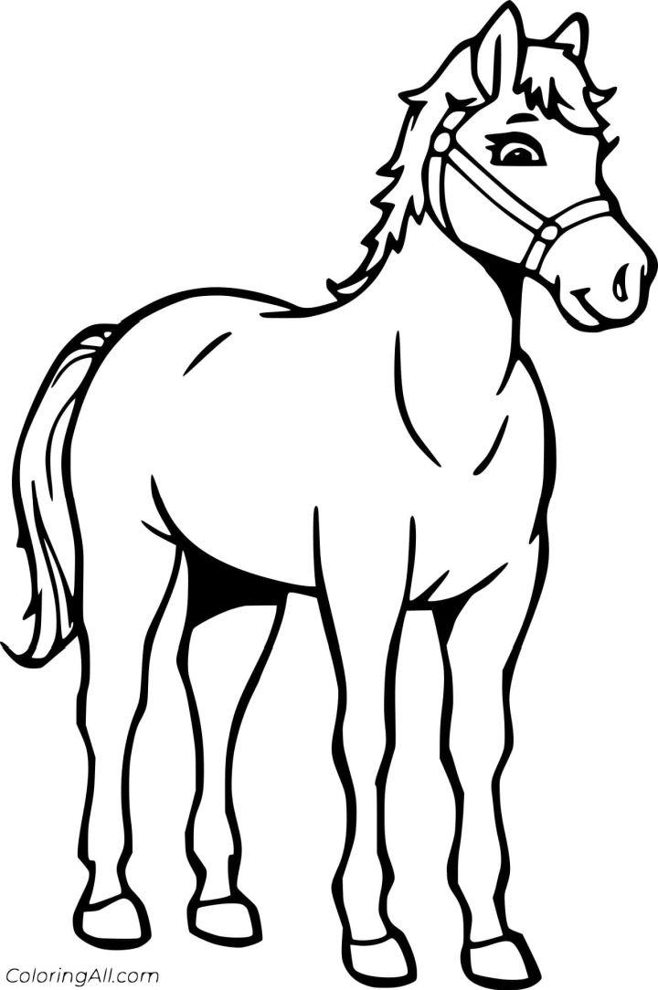 25 Free Horse Coloring Pages For Kids And Adults Blitsy