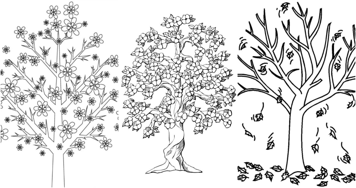 25 Free Tree Coloring Pages For Kids And Adults