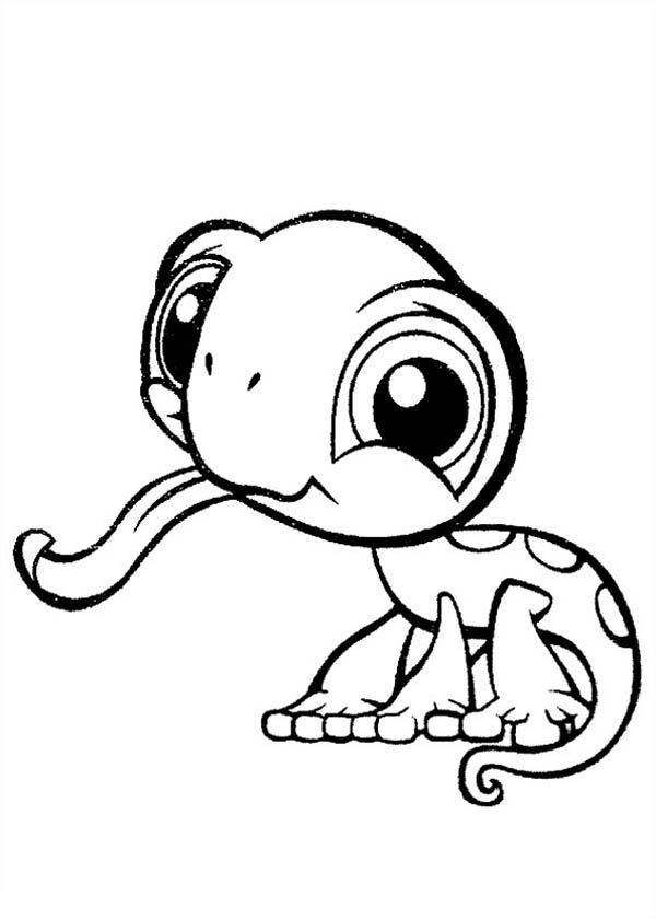 Animal Coloring Pages Free Download On ClipArtMag