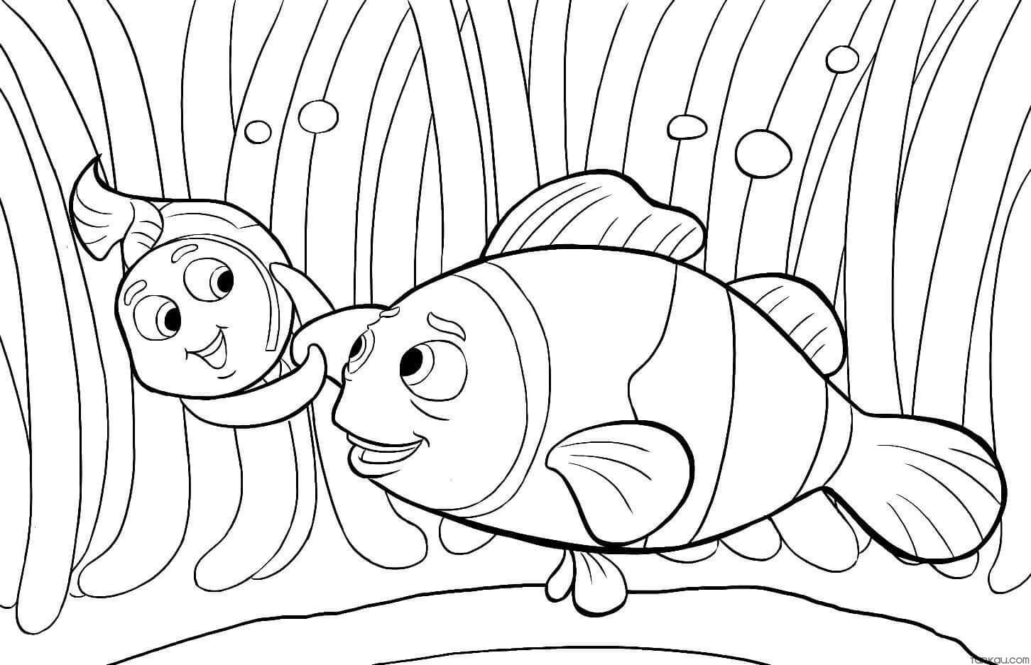 Animal Finding Nemo Coloring Page Turkau