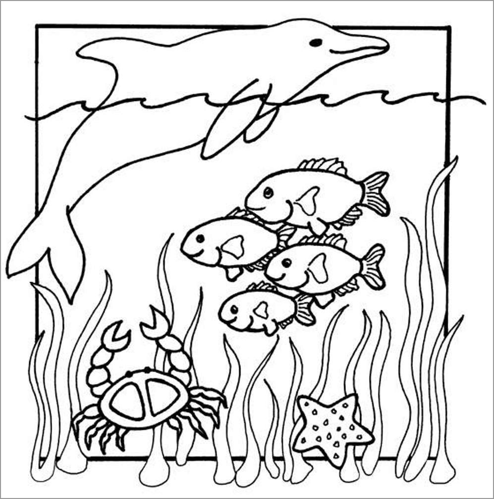 Aquatic Animals Coloring Pages ColoringBay