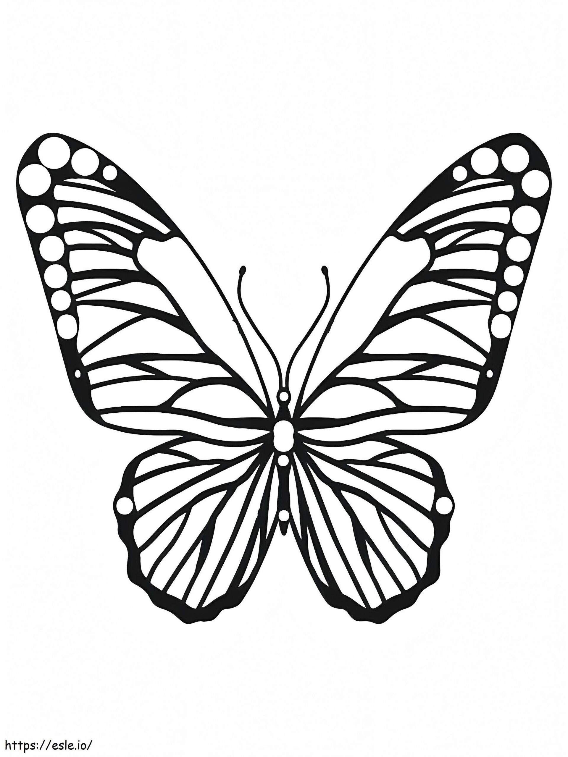 Attractive Butterfly Coloring Page