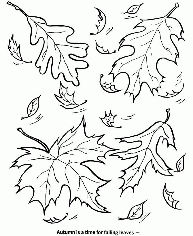 Autumn Colouring Pages For Children Coloring Home