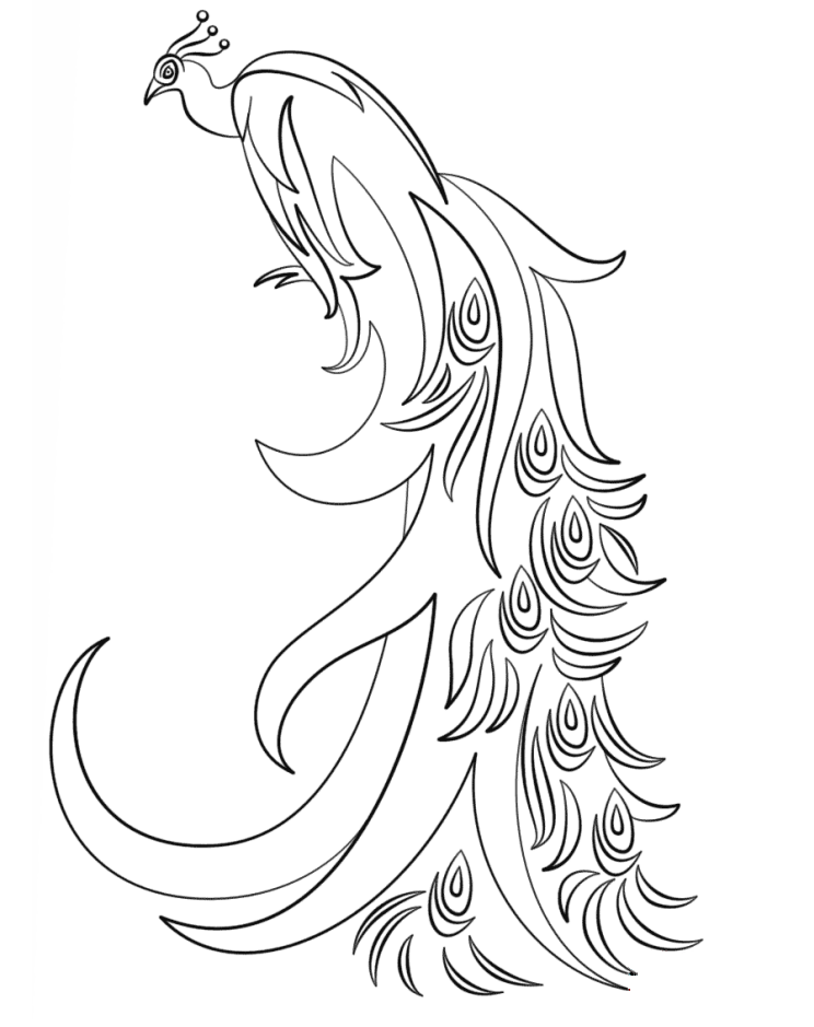 Awesome Peacock Coloring Page Free Printable Coloring Pages For Kids