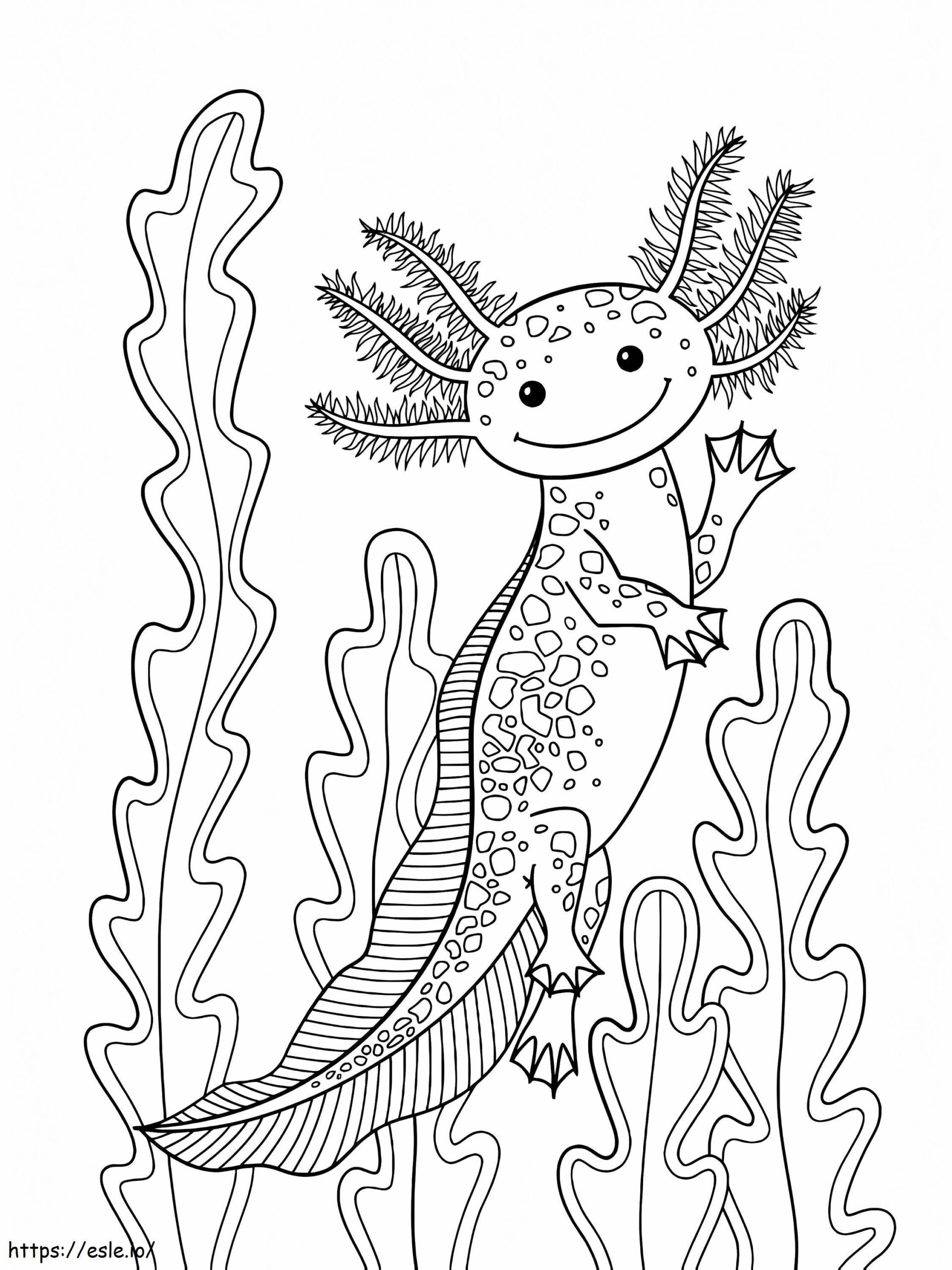 Axolotl Smiling Coloring Page