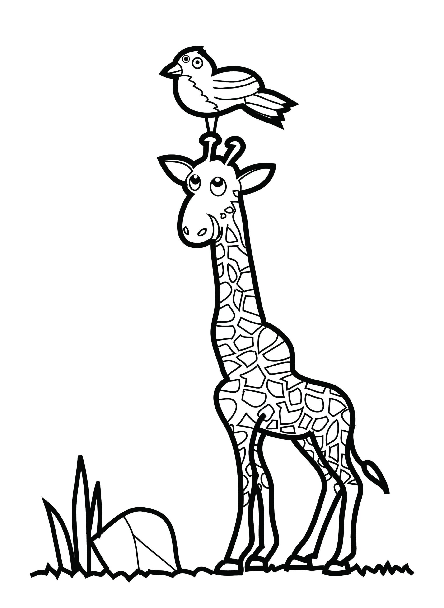 Baby Giraffe Coloring Sheets ClipArt Best