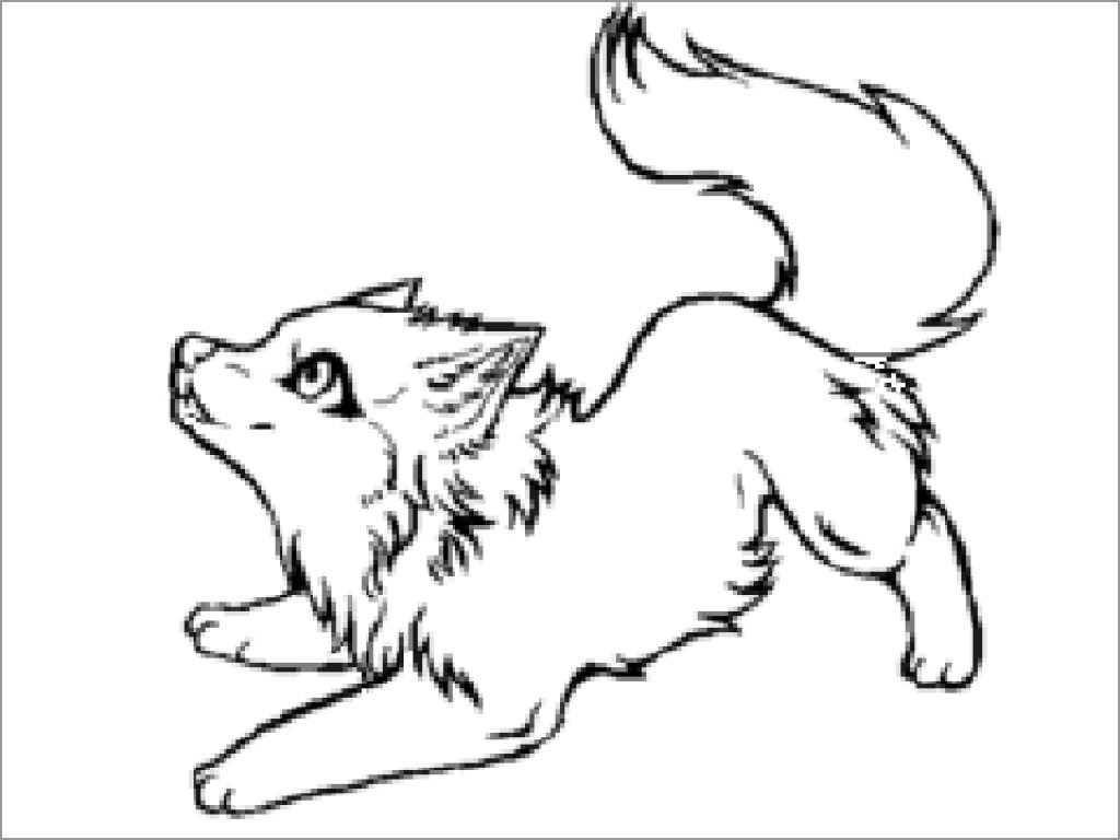 Baby Wolf Coloring Page ColoringBay