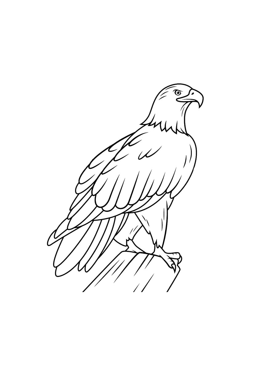 Bald Eagle Coloring Pages