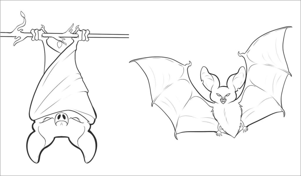 Bat Coloring Pages - Elmo Coloring Sheets