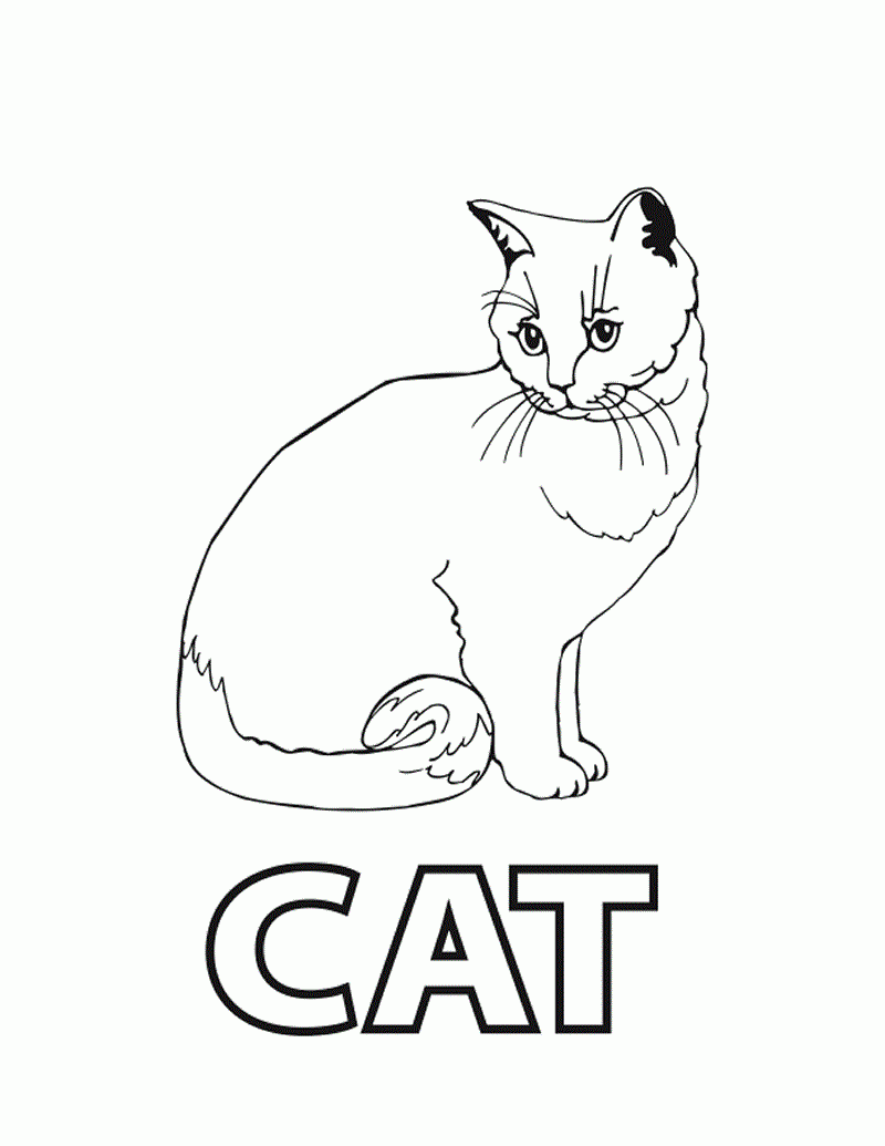 Blank Adult Coloring Pages Cats Coloring Pages