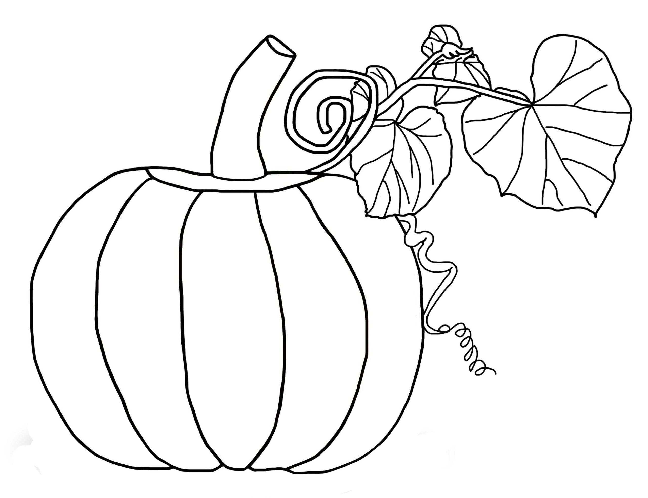 Blank Pumpkin Template Coloring Home