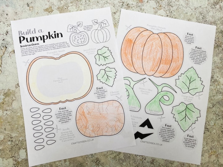 Build A Pumpkin Printable FREE PDF Crafts On Sea Worksheets Library