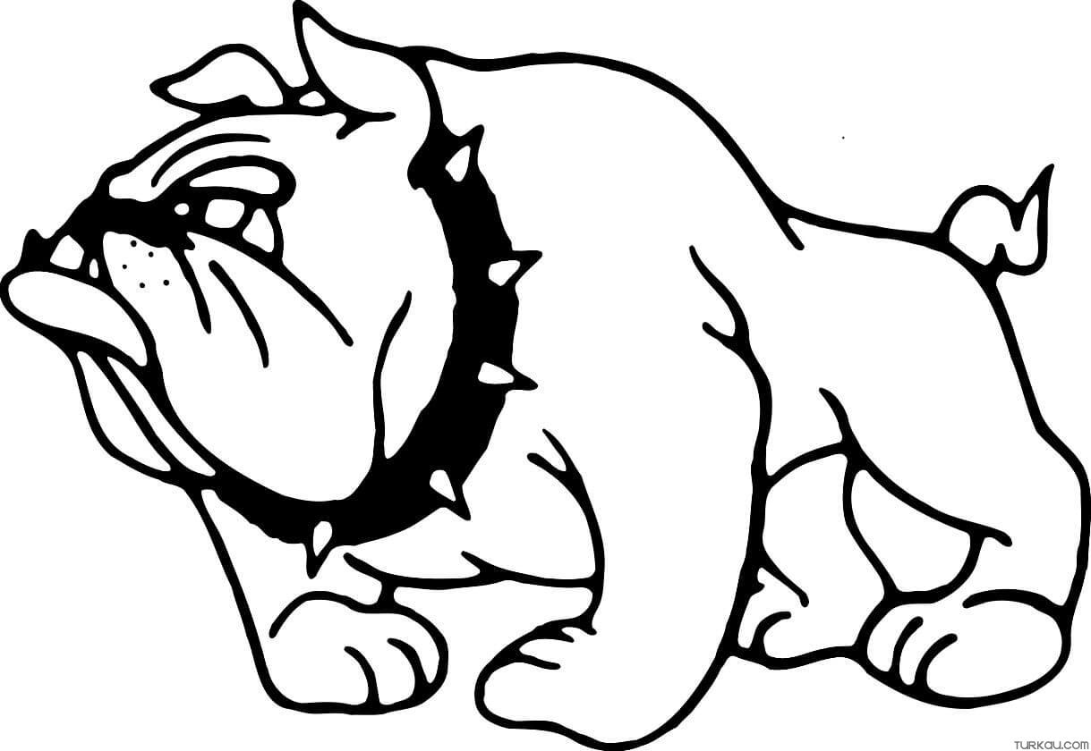 Bulldogs Drawing Coloring Page Coloring Pages Turkau