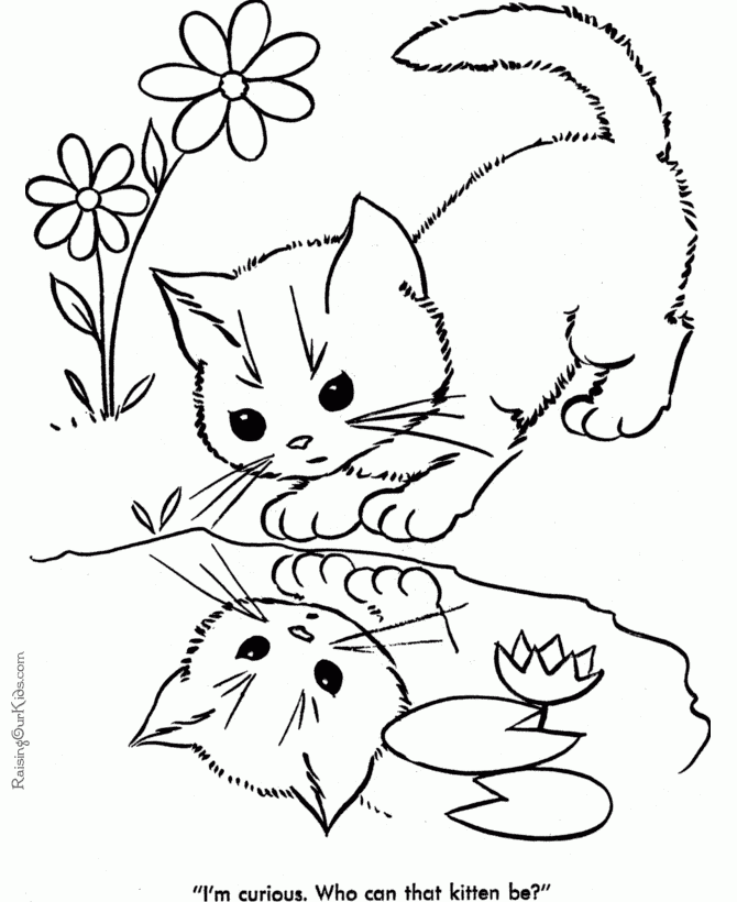 Cat Coloring Sheets