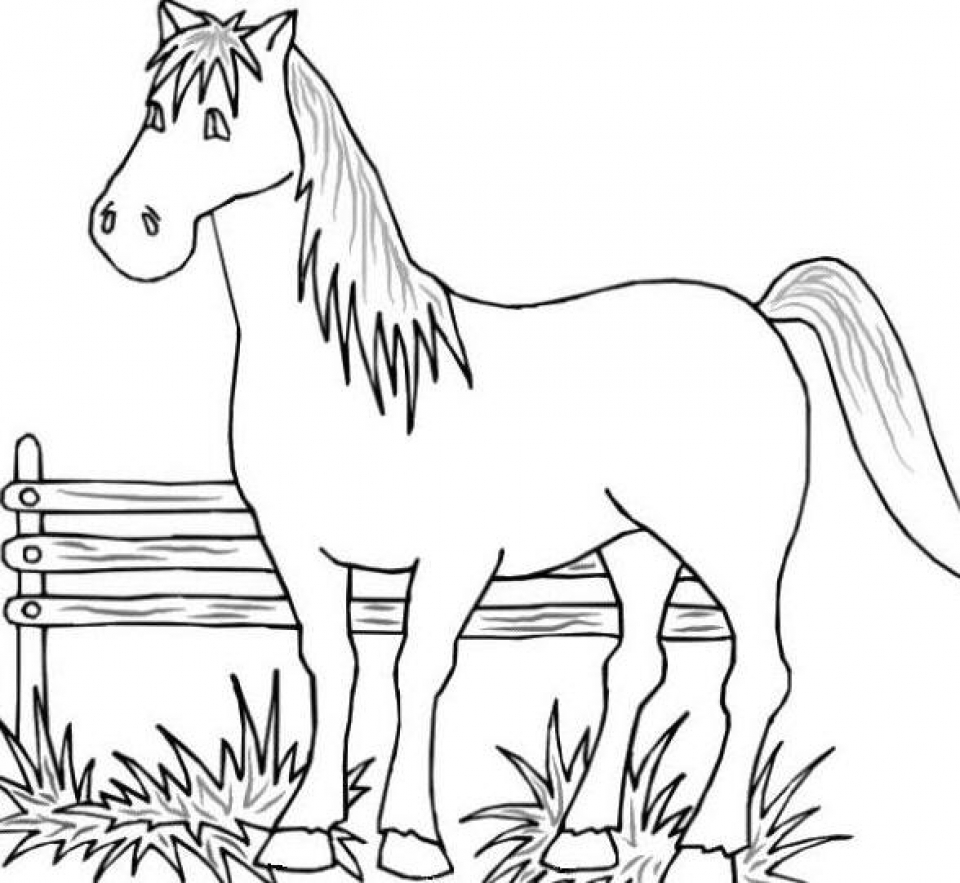 Coloring Pages Animals Farm