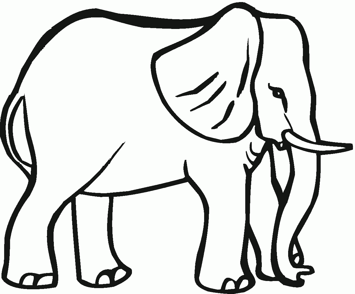 Coloring Pages For Animals Elephant Big Animals Coloring Pages