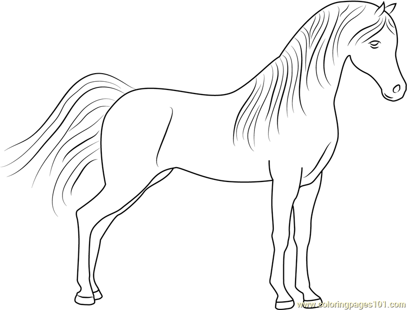 Cute Horse Coloring Page For Kids Free Horse Printable Coloring Pages 