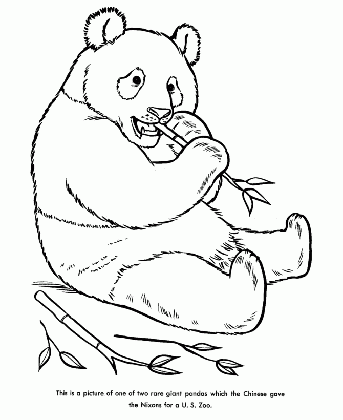 Cute Panda Coloring Pages Coloring Home