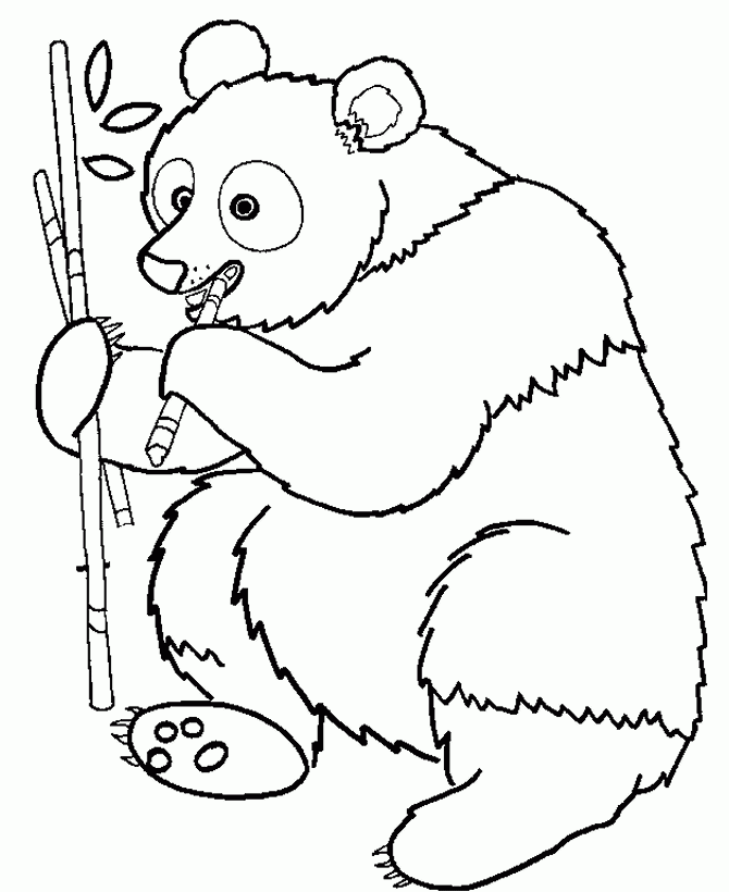Cute Panda Coloring Pages Coloring Home