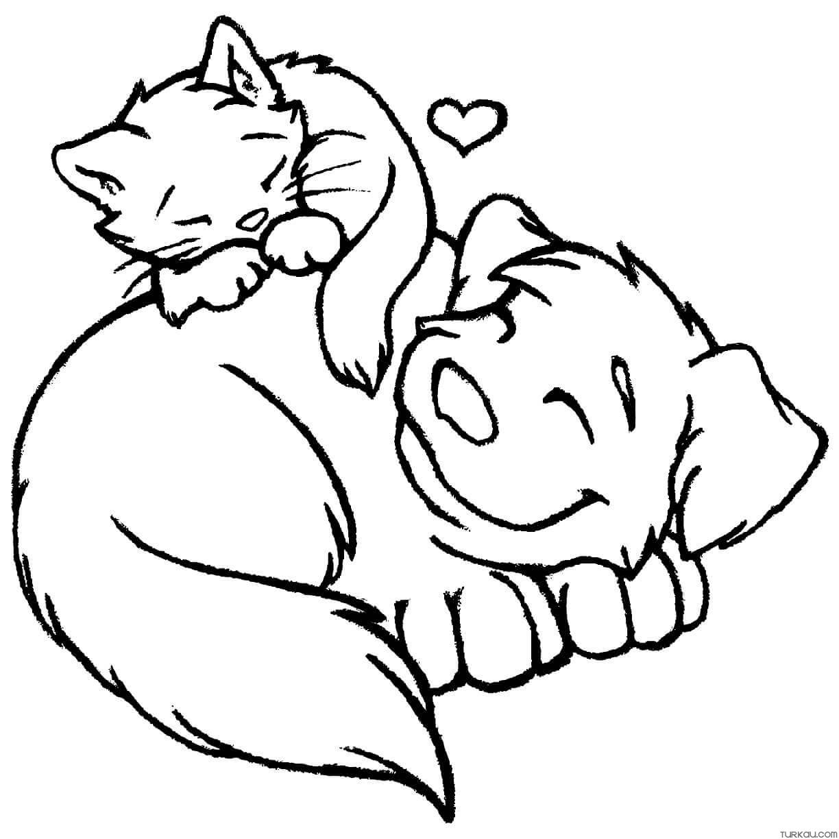 Dogs Coloring Pages Turkau