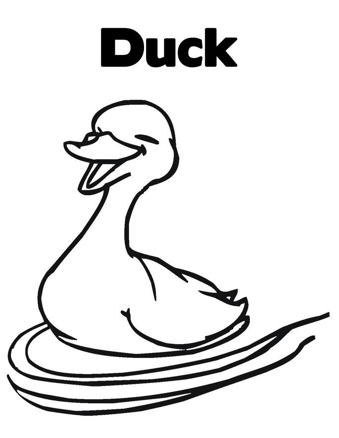 Duck Coloring Pages Best Coloring Pages For Kids