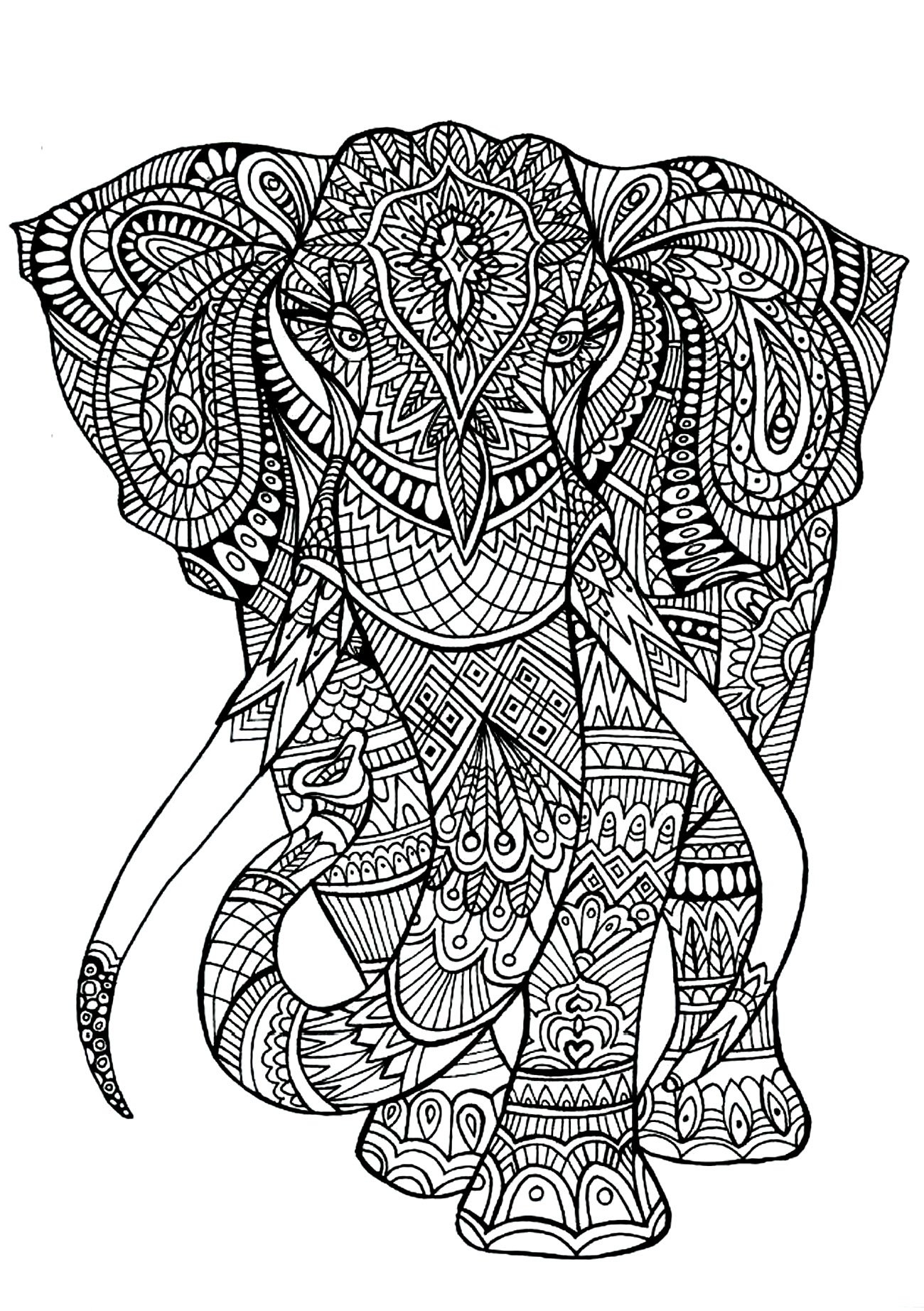 Elephant Patterns Animals Coloring Pages For Adults JustColor