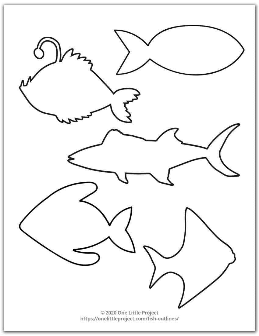 Fish Outlines Fish Template Free Printable Access Government Forms 