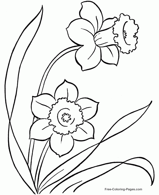 Flower Coloring Pages To Color
