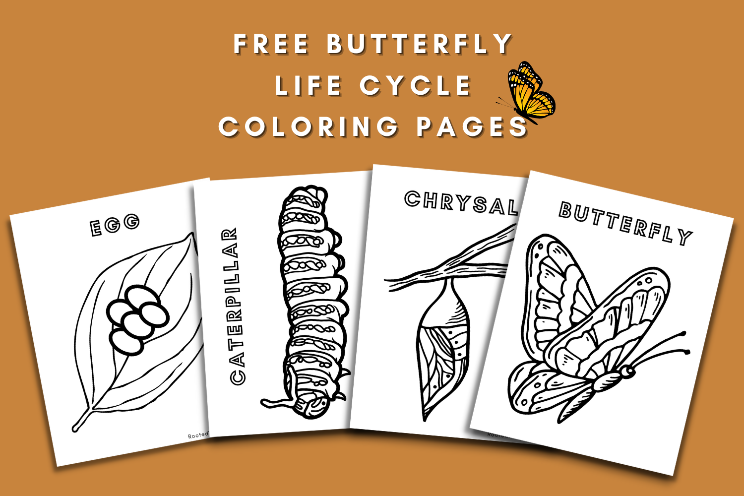Free Butterfly Coloring Pages For Kids Or Adults