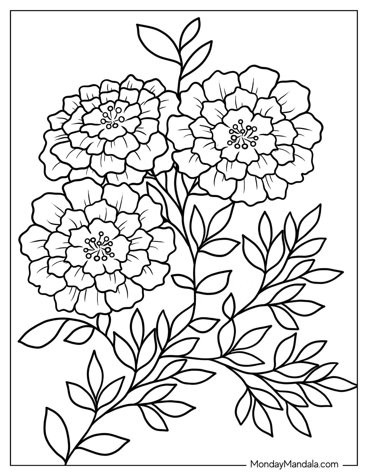Free Easy Flower Coloring Pages Best Flower Site