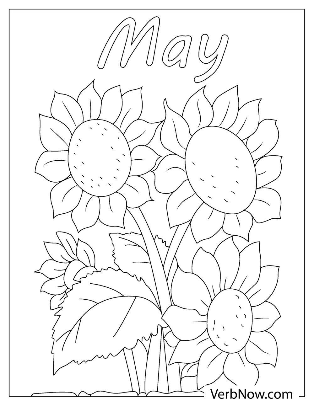 Free MAY Coloring Pages For Download Printable PDF 
