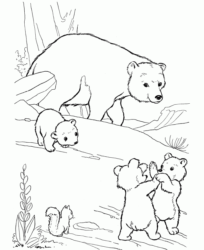 Free Printable Bear Coloring Pages For Kids