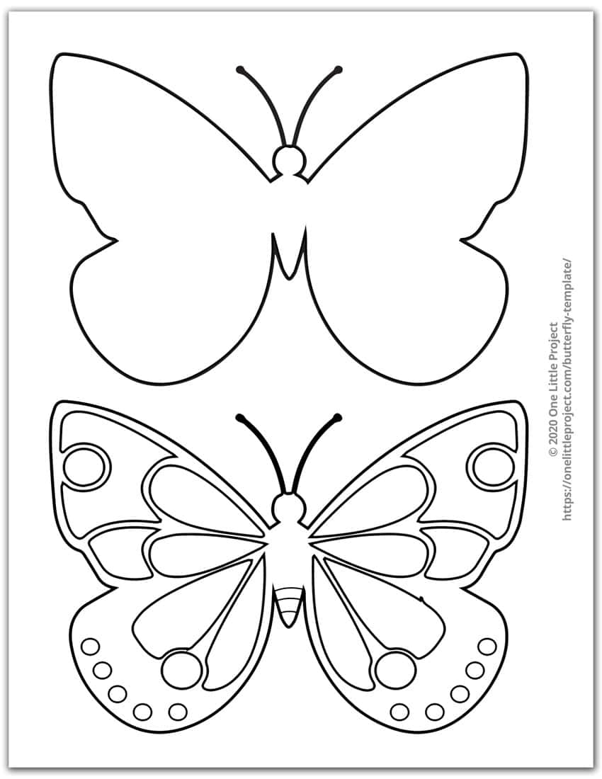 Free Printable Butterfly Template Butterfly Template Vrogue co