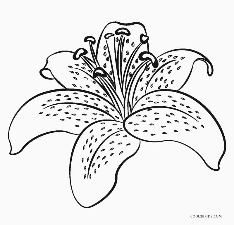 Free Printable Flower Coloring Pages For Kids Cool2bKids