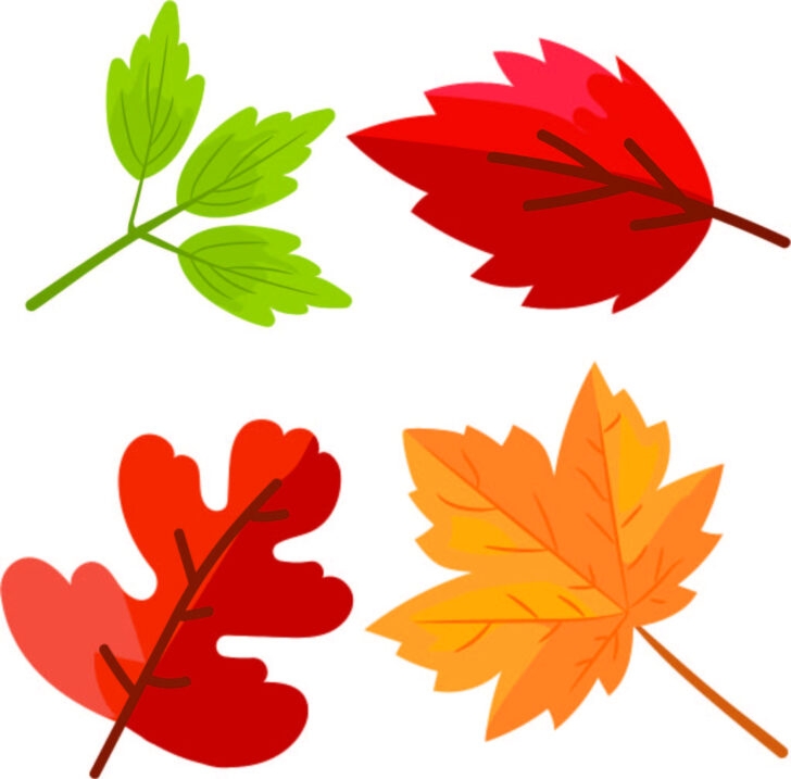 FREE Printable Leaves Pictures Leaf Templates