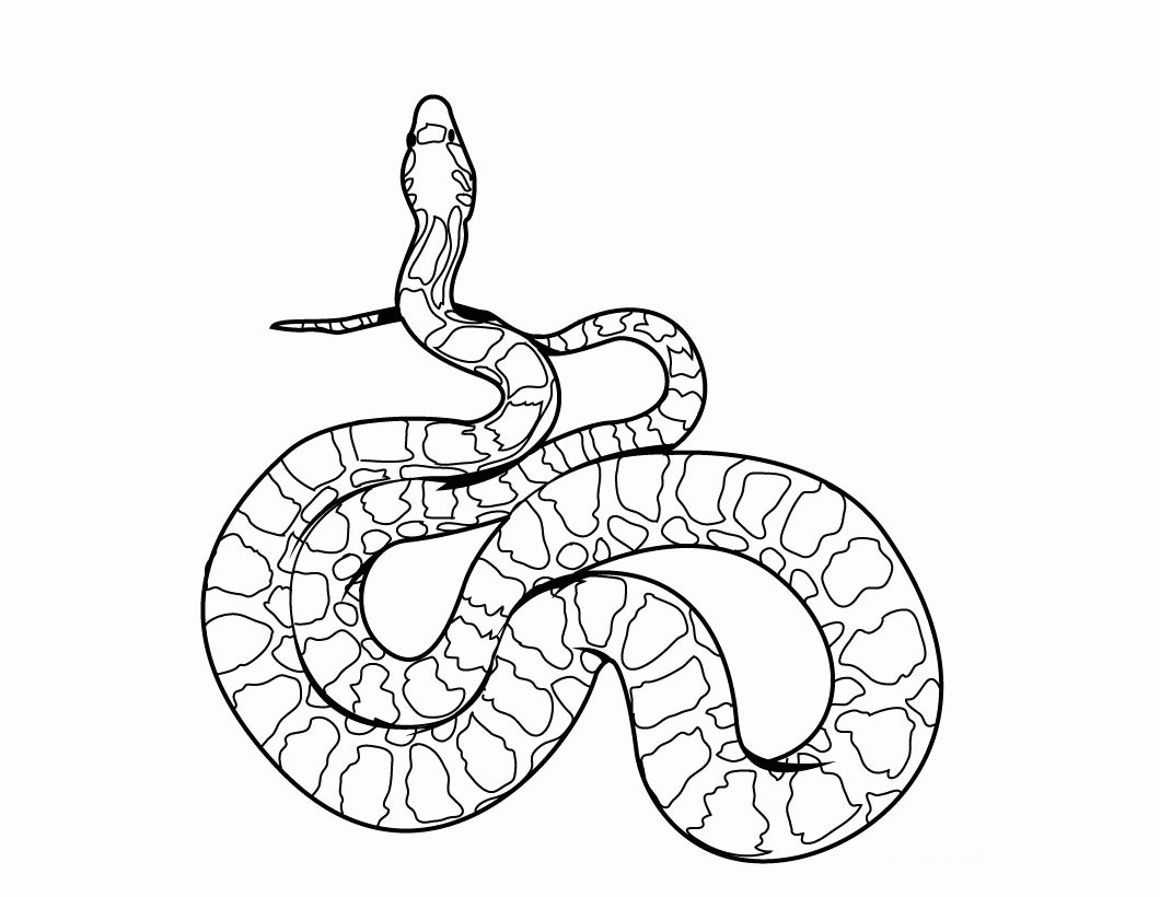 Free Printable Snake Coloring Page Coloring Home