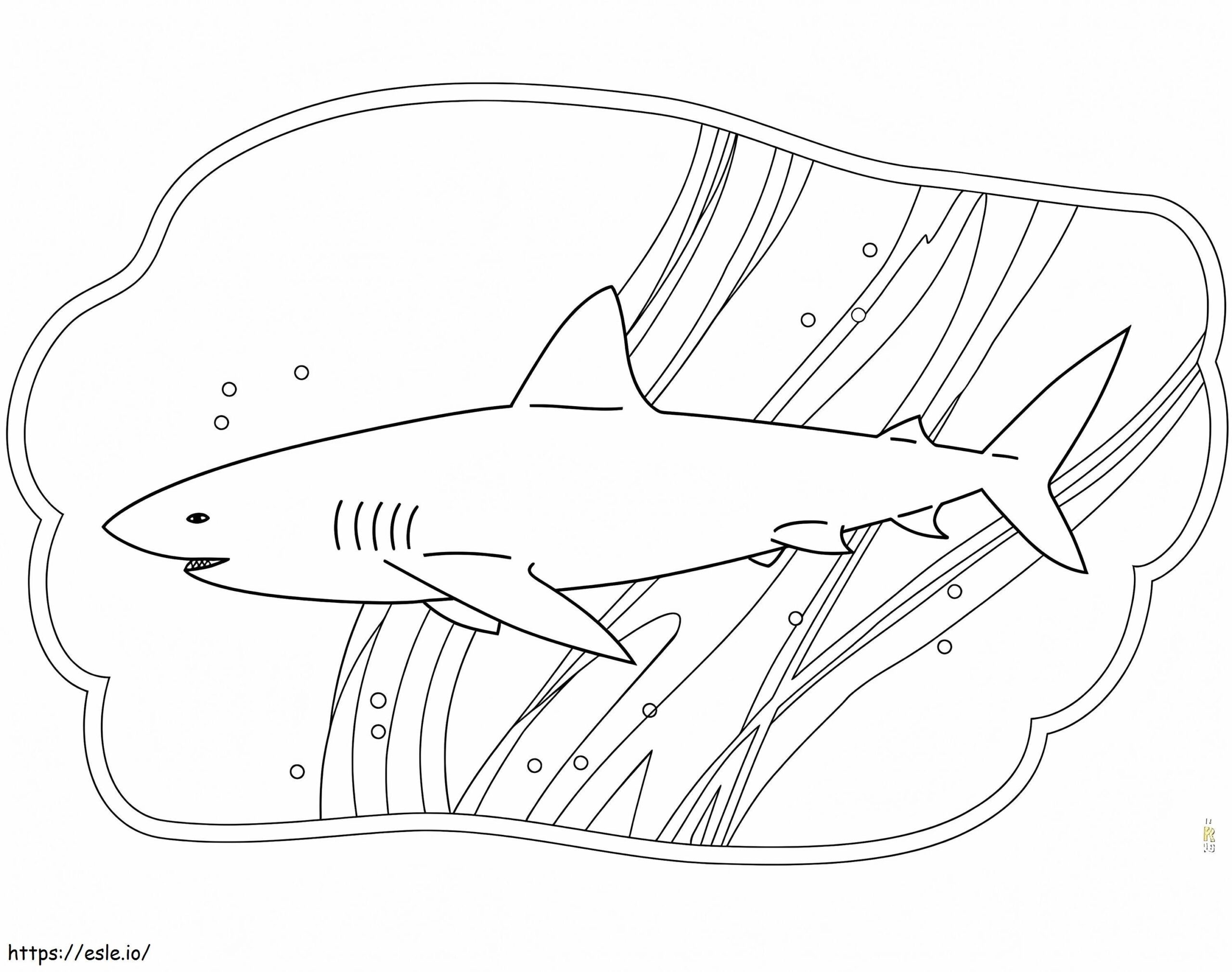 Free Shark Coloring Page