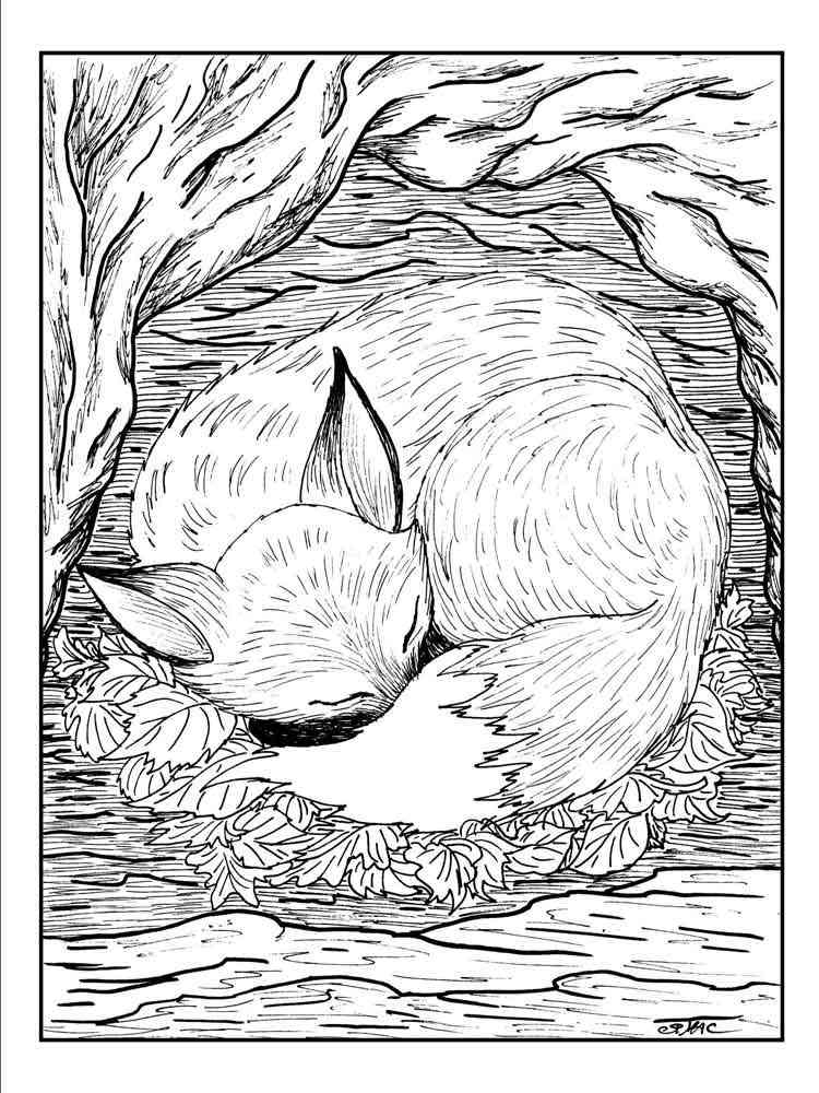 Grown Up Coloring Pages