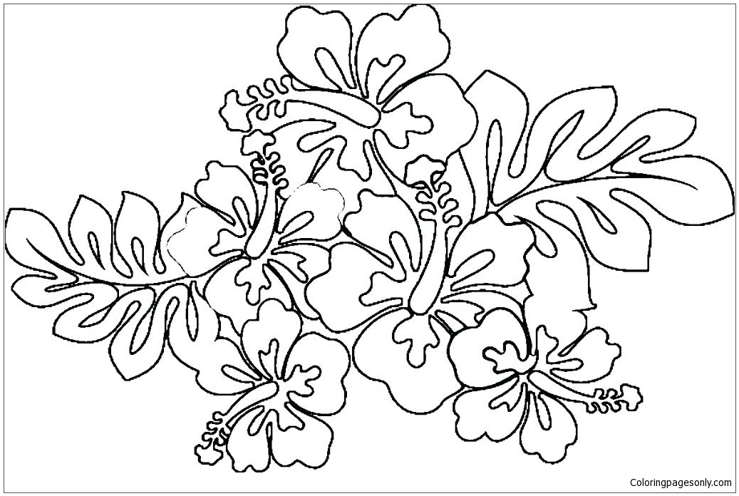 Hawaiian Flower Printable Coloring Pages Best Flower Site