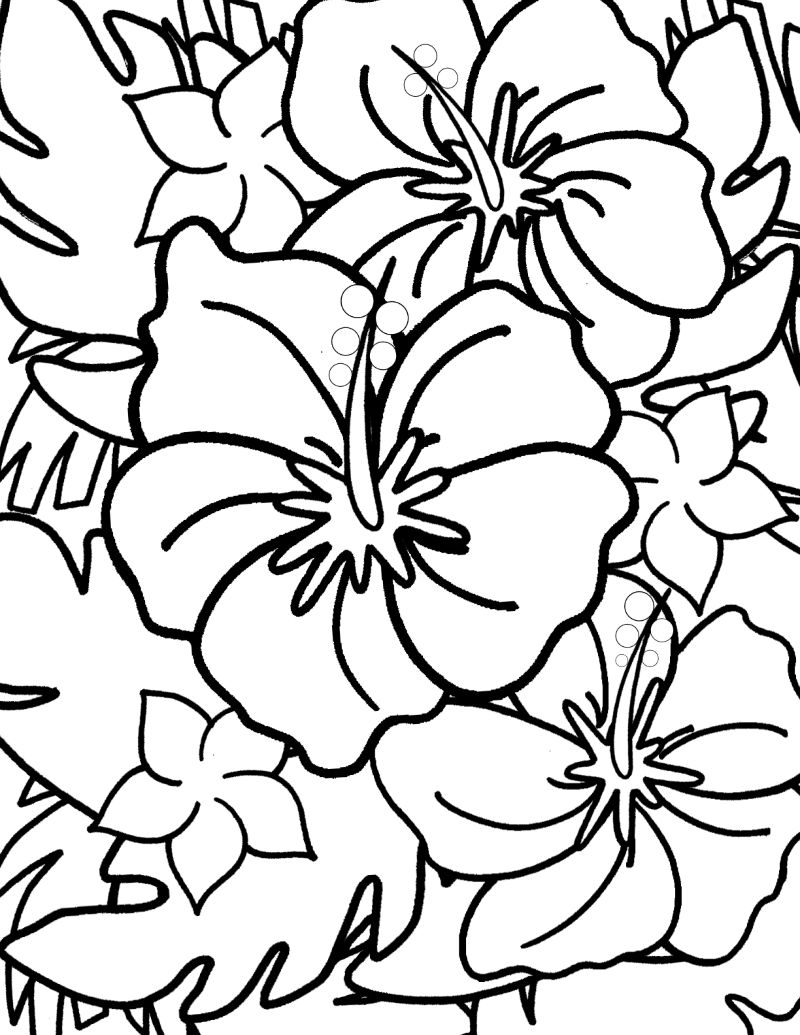Hawaiian Flower Printable Coloring Pages Best Flower Site
