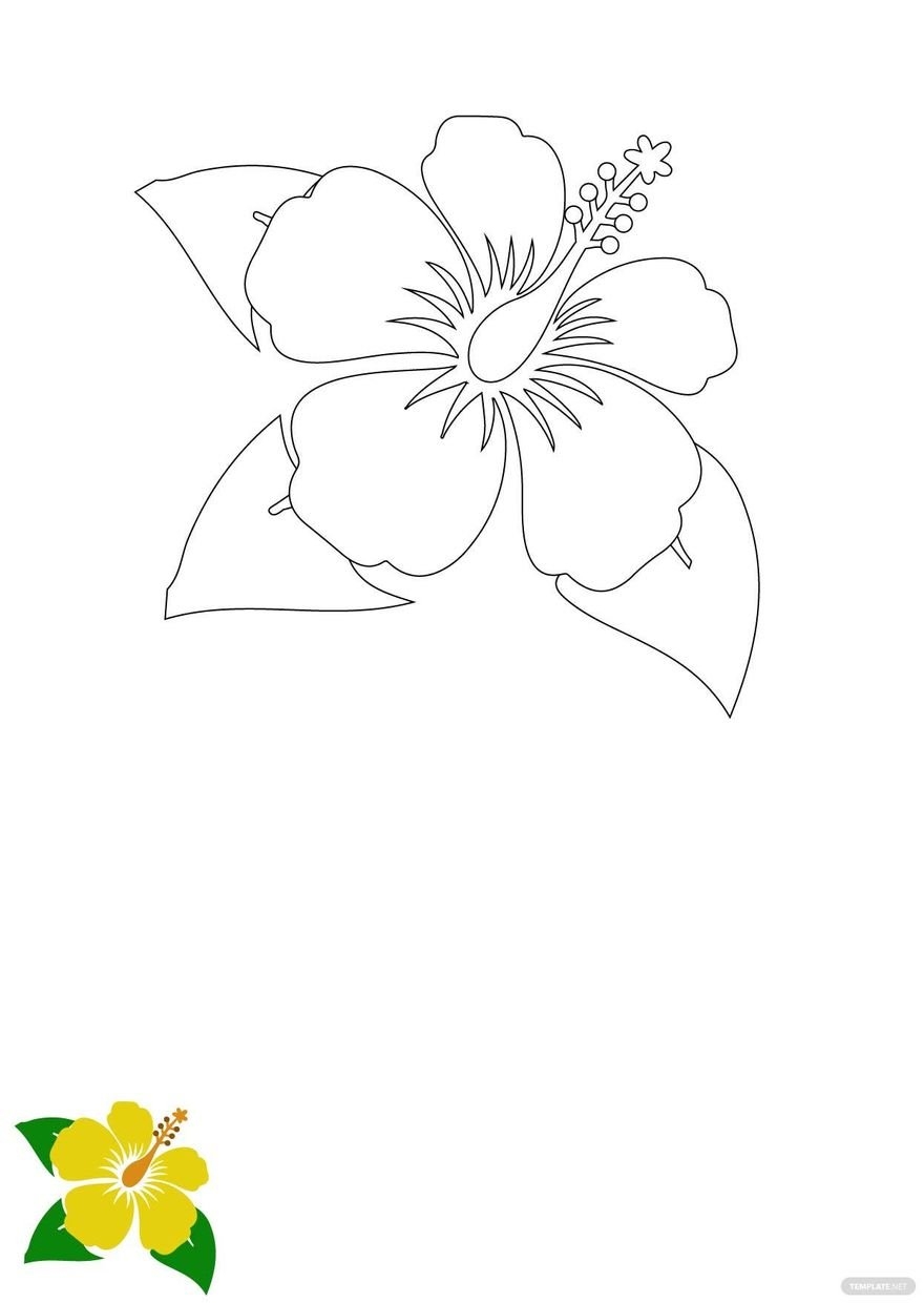 Hibiscus Flower Coloring Page In JPG PDF EPS Download 