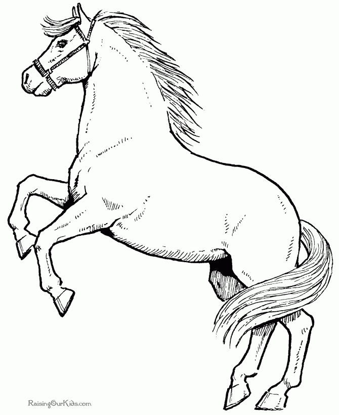 Horse Coloring Pages 2025 Best Cool Funny