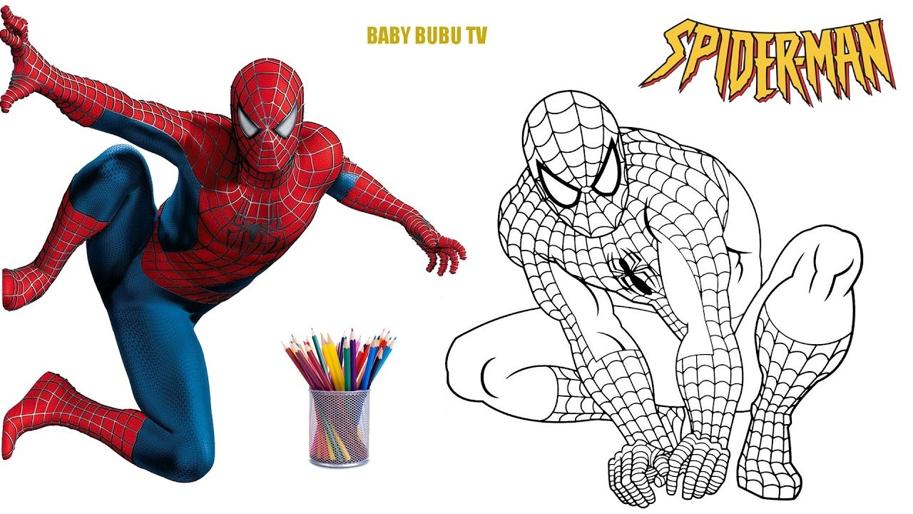How To Color Spiderman Spiderman Coloring Pages For Kids Spiderman 