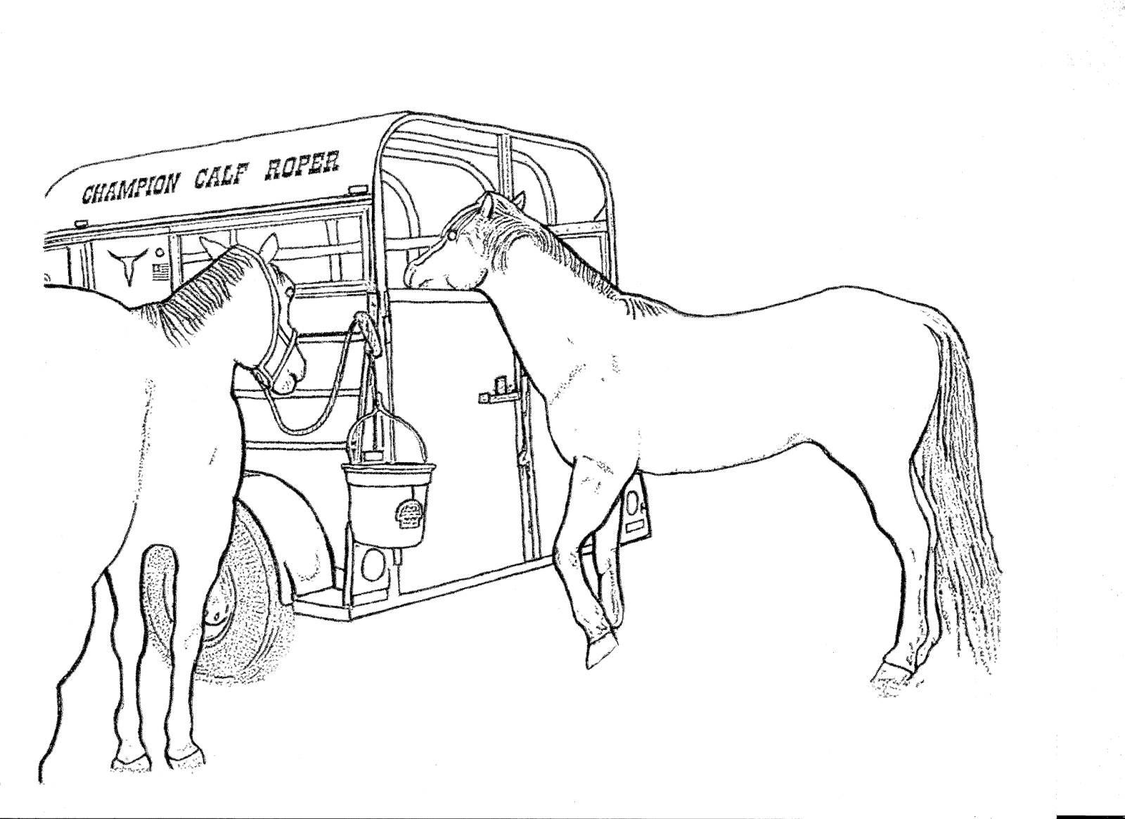 Jumping Horse Coloring Pages Horse Coloring Horse Col Vrogue co