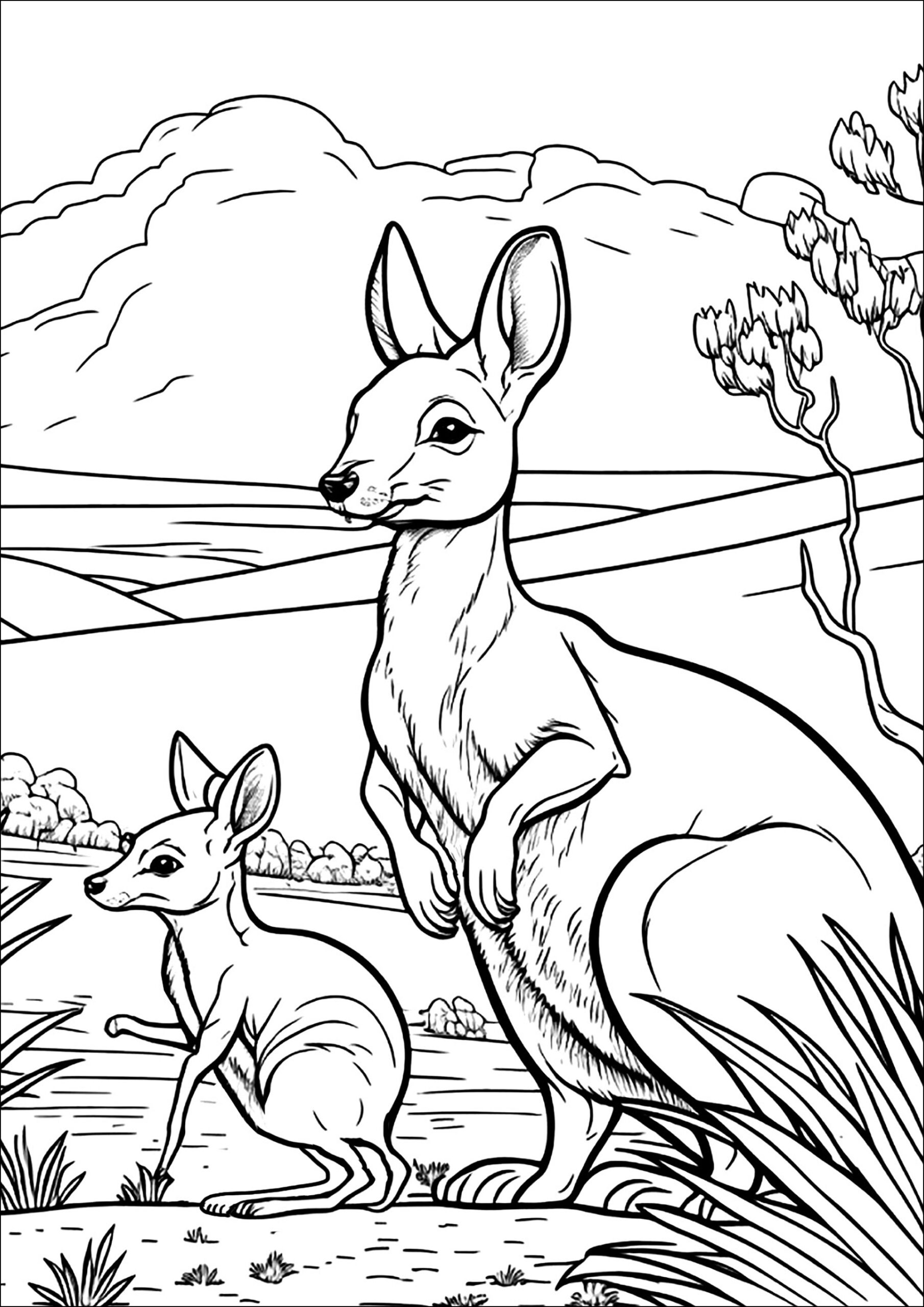 Kangaroo Pictures To Color Printable Infoupdate