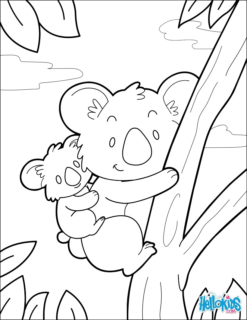 Koala Coloring Pages Hellokids