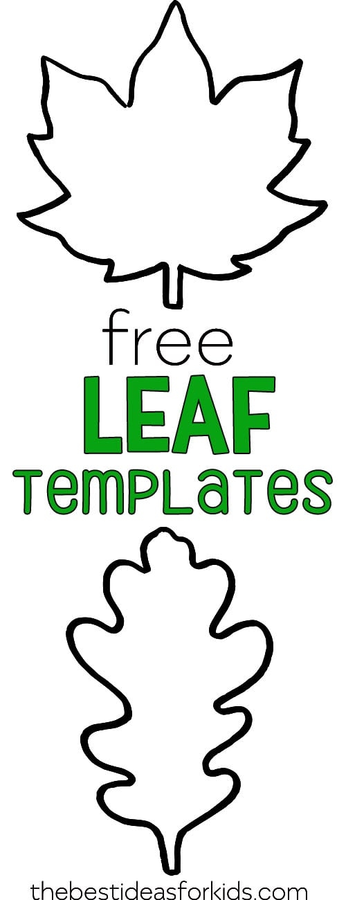Leaf Templates Printable Free