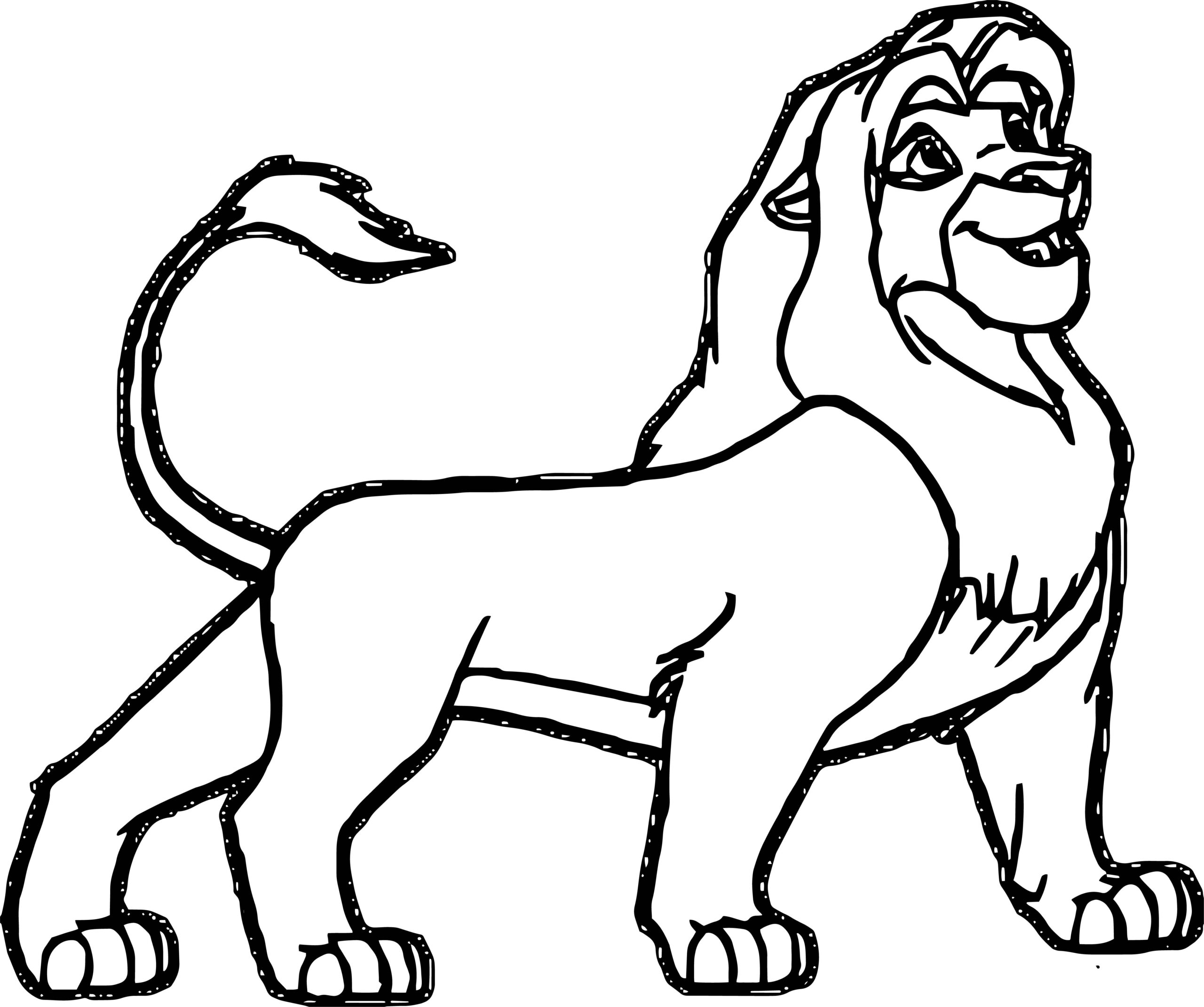 Lion Coloring Page 50 Wecoloringpage